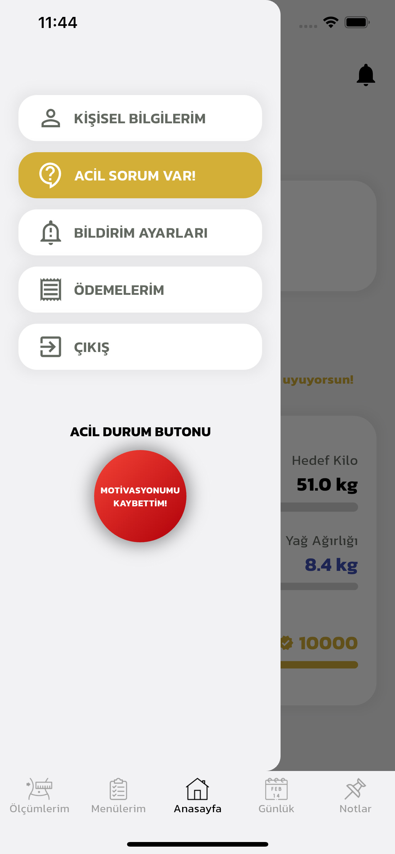 Online Diyet Mobil Uygulama